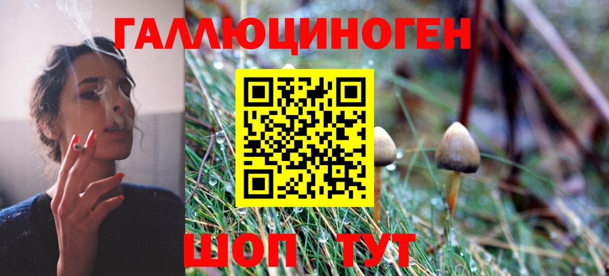 Псилоцибиновые грибы Psilocybine cubensis  Вход с VPN  Еманжелинск 