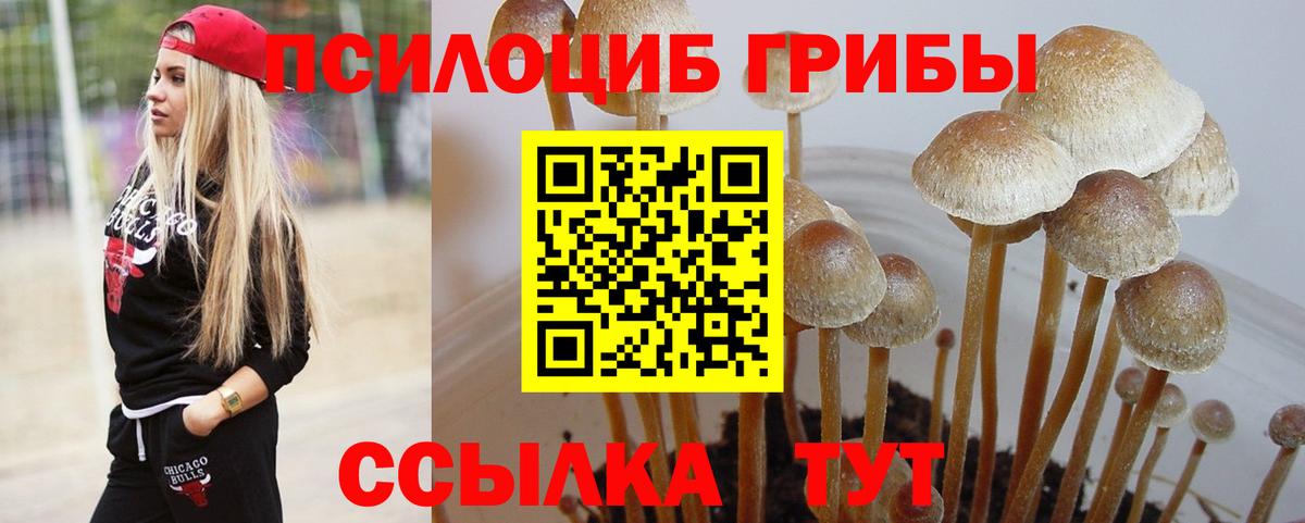 Галлюциногенные грибы мицелий Еманжелинск